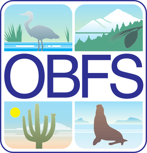 OBFS Board