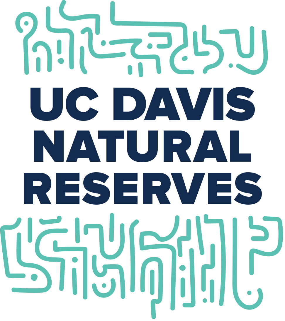 McLaughlin Reserve (UC-Davis, Donald and Sylvia McLaughlin Natural Reserve)