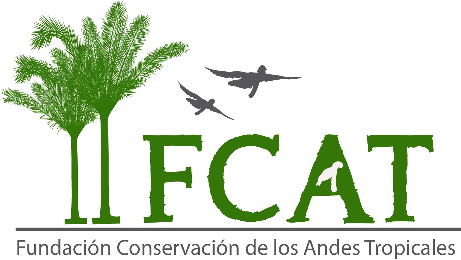 Fundación para la Conservación de los Andes Tropicales (FCAT)