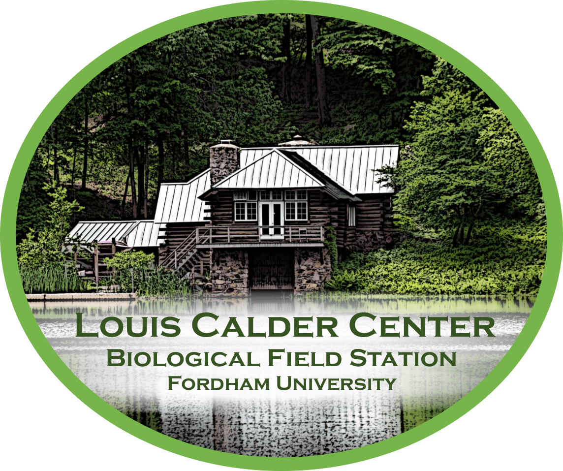 Louis Calder Center