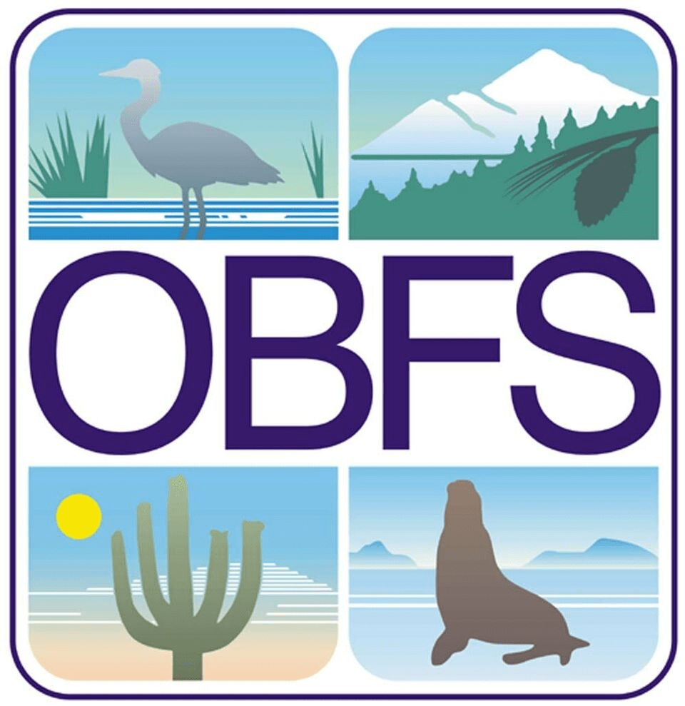 OBFS: International committee meeting